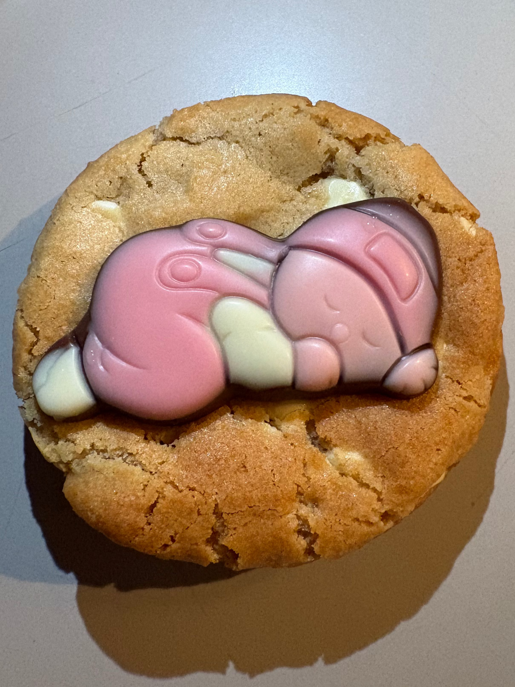 🩷 Large Baby Box Chocolade Koekjes🩵